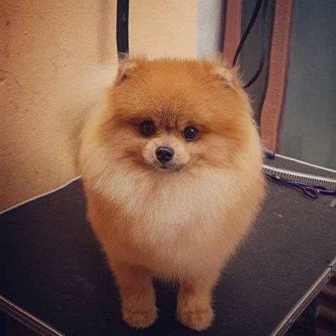 RAGNAR